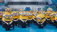 Abgebildet sind die Minions, wie sie freudig zusammen stehen.