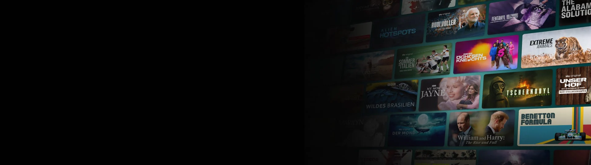 Die Grafik spiegelt die Vielfalt an Dokumentar-Serien und -Filmen bei WOW wieder.